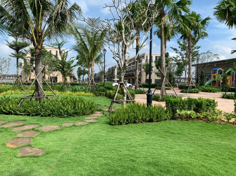 công ty cây xanh tại tphcm