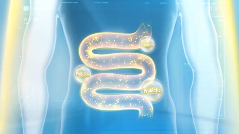 Phân biệt men vi sinh và men tiêu hóa