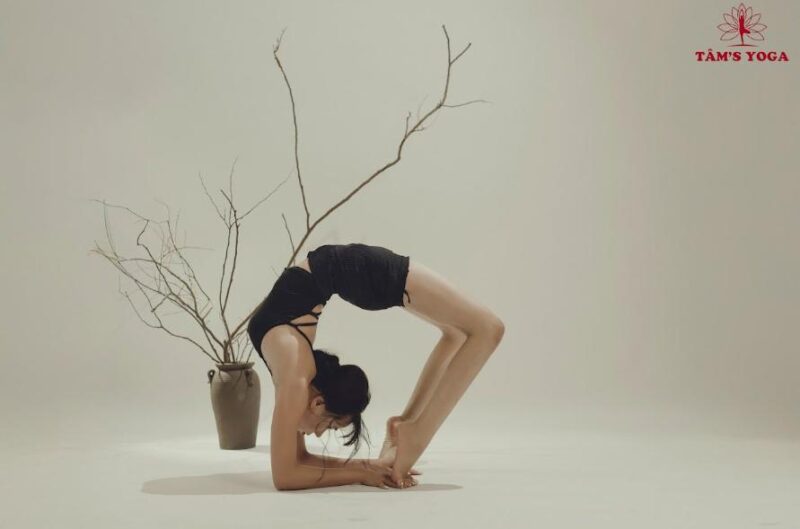 Tâm’s Yoga - Phòng tập yoga Đắk Lắk chuyên nghiệp