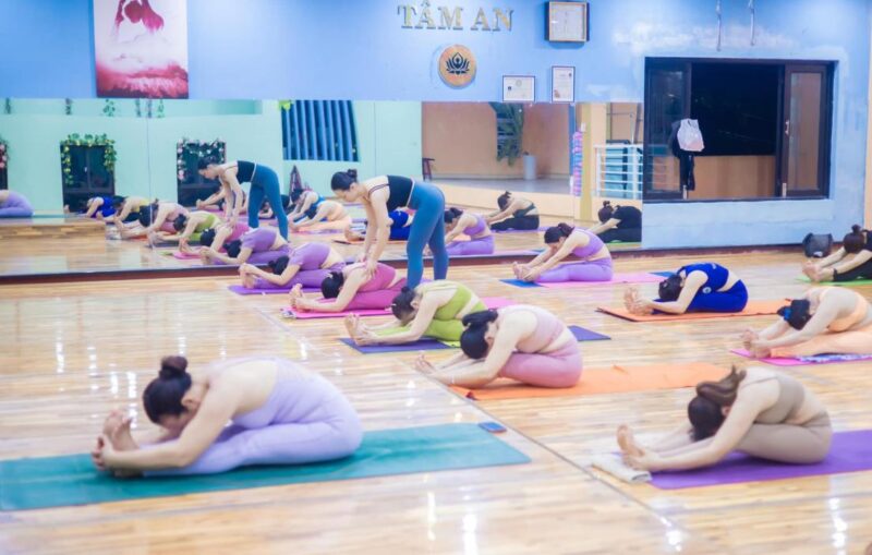 Tâm An Yoga - Phòng tập yoga Quảng Trị uy tín