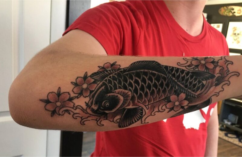 Cá chép đen - vẻ đẹp cuốn hút và bí ẩn