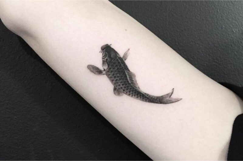 Cá chép đen biểu tượng của thành công, sự giàu có và sang trọng